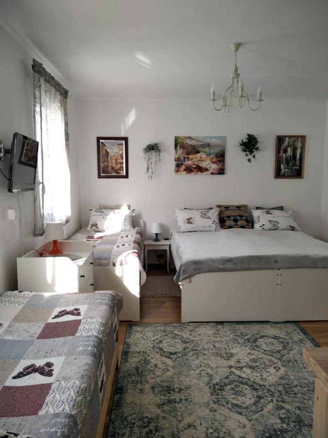 Eco-Lux Apart With Free Bicycles End Free Parking Laibach Exterior foto